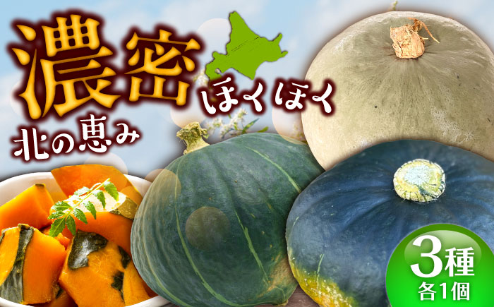 北海道 かぼちゃ ダークホース・とっておき・特濃こふき 3種類×1個 《足寄町》【足寄アグリバイオ株式会社】 かぼちゃ カボチャ ダークホース とっておき　特濃こふき ハロウィン グラタン スープ 旬 新鮮 北海道産 道産 寒冷地 あしょろ [BEAC012]