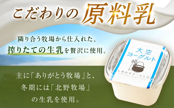 大空ヨーグルト 400g×6個《足寄町》【NPO法人あしょろ観光協会】ヨーグルト 乳製品 牛乳 乳酸菌 免疫力 美味しい 高評価 おすすめ ギフト 足寄町産 北海道産 道産 あしょろ 北海道 [BEAE005]