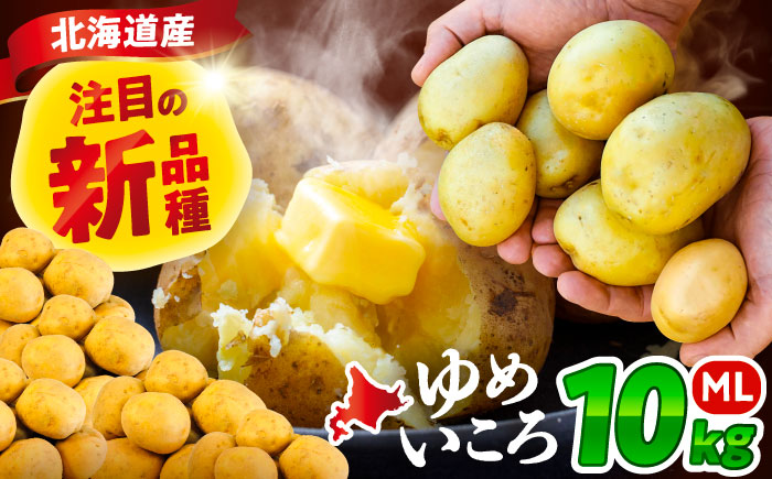 北海道産 じゃがいも ゆめいころ 10kg 《足寄町》【北海道エア・ウォーター・アグリ株式会社】 [BEBO001] ジャガイモ じゃがいも 国産 野菜 ポテト 芋 イモ いも 肉じゃが カレー 煮物 ポテトサラダ シチュー ユメイコロ ゆめこいろ 北海道産 道産 足寄町 北海道