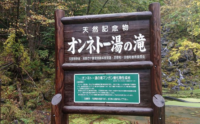 北海道十勝 オンネトー 湯の滝 ネイチャートレッキング バーベキュー ツアー 《足寄町》【株式会社クナウパブリッシング】北海道旅行 旅行 夏休み 体験 アクティビティ ハイキング アウトドア 散歩 自然 植物 BBQ 滝 [BEAY021]