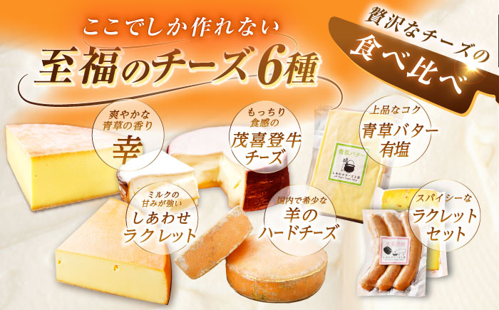 ＼TVで話題／【全6回定期便】北海道 チーズ 6種《足寄町》【しあわせチーズ工房】定期便 チーズ ナチュラルチーズ ハード ラクレット 生乳 ミルク 乳製品 おつまみ ギフト 食べ比べ 北海道産 あしょろ [BEAK030]