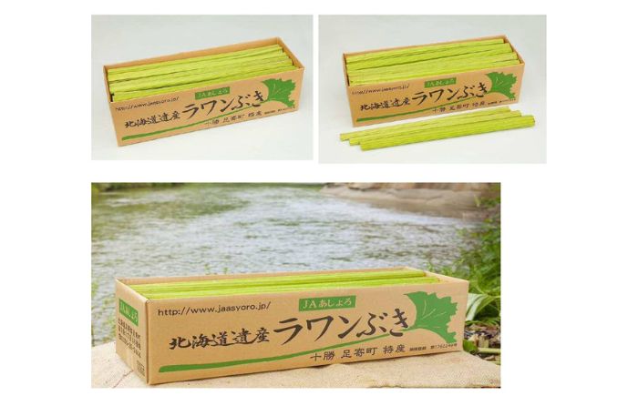 【先行予約】北海道足寄町産 生ラワンぶき 5kg【6月上旬以降発送】《足寄町》【足寄町農業協同組合】ふき フキ ラワンブキ 螺湾ぶき 山菜 採れたて 新鮮 水煮 煮物 おでん ギフト 足寄町産 北海道産 道産 国産 足寄町 北海道 [BEAB012]