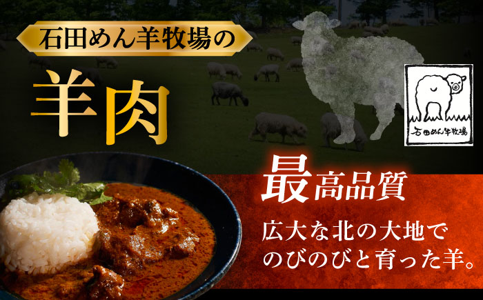 北海道 十勝 羊のスパイスカレー 180g×3パック《足寄町》【石田めん羊牧場】カレー カレーライス スパイスカレー レトルトカレー レトルト スパイス 羊肉 マトン グルメ 北海道産 道産 あしょろ [BEAD012]