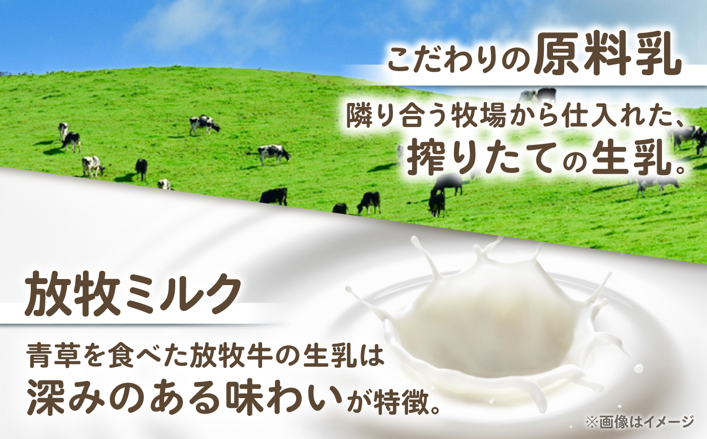 ＼TVで話題／北海道 チーズ 幸 個包装 計500g（個包装4−6個）《足寄町》【しあわせチーズ工房】チーズ ナチュラルチーズ ハード 個包装 生乳 ミルク 乳製品 おつまみ ギフト 500g 北海道産 あしょろ [BEAK014]