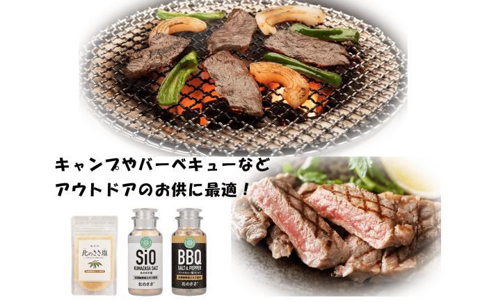 熊笹エキス10g＆北のささ塩100g《足寄町》【株式会社北のささ】熊笹 ポリフェノール 塩 しお 料理 調味料 健康 無添加 セット ギフト ミネラル 鉄分 マグネシウム ビタミン あしょろ 北海道 [BEAR006]