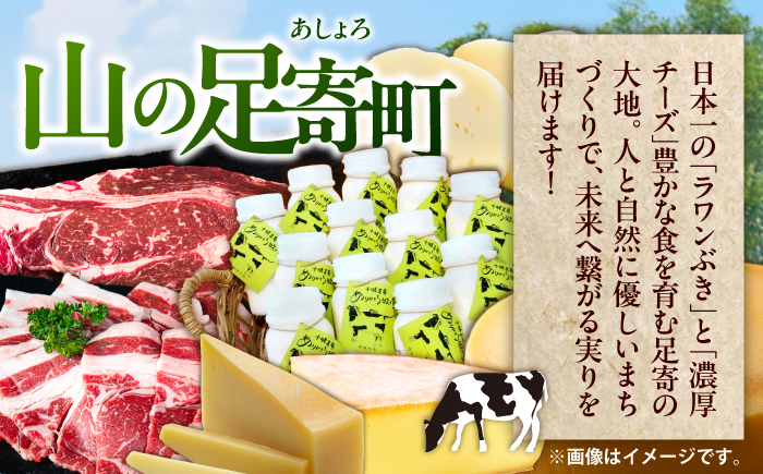 6回定期便 道産ブランド牛＆人気のお魚を満喫！北海道定期便 《足寄町》 [BEBL008]