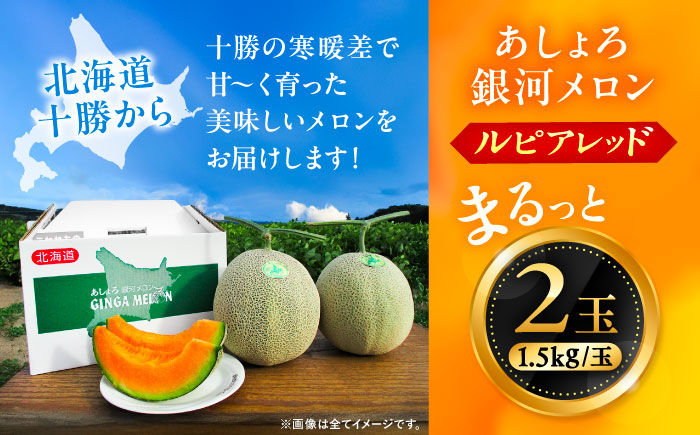 【先行予約】北海道十勝 あしょろ銀河メロン ルピアレッド 1.5kg×2玉（赤肉）【7月下旬以降発送】《足寄町》【郊南ハウス組合】メロン 果物 フルーツ 果肉 赤肉系 旬 1.5kg ギフト おすすめ 足寄町産 北海道産 道産 あしょろ 北海道 [BEAO001]