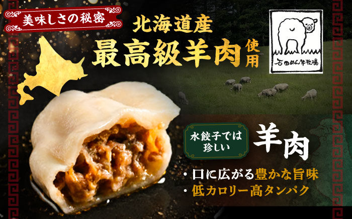 羊の水餃子（25個入り×2パック）《足寄町》【石田めん羊牧場】　中華 餃子 ぎょうざ ギョウザ 点心 惣菜 おかず 弁当 羊肉 お肉 手づくり 冷凍 ジューシー 簡単調理 名店 味坊 足寄 北海道 北海道産 [BEAD020]