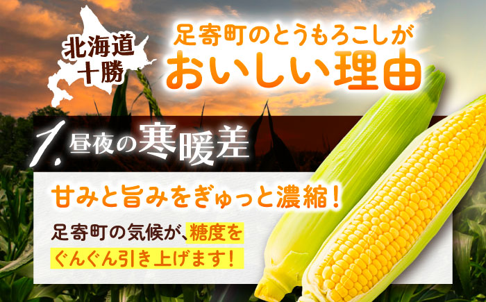 【先行予約】北海道 朝もぎ とうもろこし 10本（恵味ゴールド）【8月上旬以降発送】《足寄町》【党崎農場】トウモロコシ とうもろこし 甘い 野菜 採れたて野菜 新鮮 農家 おすすめ 北海道土産 ゴールド gold レンチン 北海道産 あしょろ 北海道 [BEAA003]