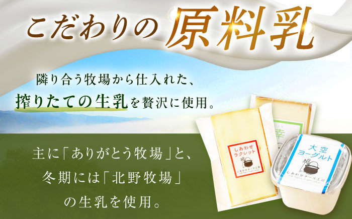 ＼TVで話題／北海道 チーズ＆ヨーグルトセット（チーズ2種・ヨーグルト2個）《足寄町》【しあわせチーズ工房】チーズ ハードチーズ ヨーグルト 乳製品 生乳 おつまみ おすすめ ギフト 足寄町産 北海道産 道産 あしょろ [BEAK003]