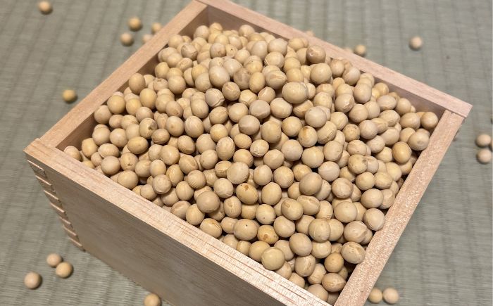 北海道 あしょろの大豆 1kg×2袋《足寄町》【党崎農場】 [BEAA026] 大豆 豆 まめ マメ 和食 煮豆 スープ 煮物 健康 足寄町産 北海道産 道産 寒冷地 足寄町 北海道 節分