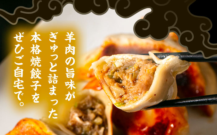 羊の焼き餃子（25個入り×2パック）《足寄町》【石田めん羊牧場】　中華 餃子 ぎょうざ ギョウザ 点心 惣菜 おかず 弁当 羊肉 お肉 手づくり ジューシー 冷凍 簡単調理 名店 味坊 足寄 北海道 北海道産 [BEAD018]