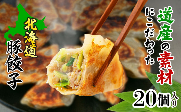 熊笹餃子 雫包(しずづつみ) 20個≪足寄町≫【株式会社北のささ】中華 ぎょうざ ギョーザ 冷凍餃子 焼餃子 おかず おつまみ 惣菜 天心 お取り寄せ 肉汁 国産 ギフト 冷凍食品 クマザサエキス配合 ささ塩配合 あしょろ 北海道 [BEAR014]