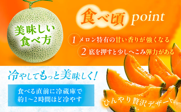 【先行予約】北海道十勝 あしょろ銀河メロン ルピアレッド 1.5kg×2玉（赤肉）【7月下旬以降発送】《足寄町》【郊南ハウス組合】メロン 果物 フルーツ 果肉 赤肉系 旬 1.5kg ギフト おすすめ 足寄町産 北海道産 道産 あしょろ 北海道 [BEAO001]