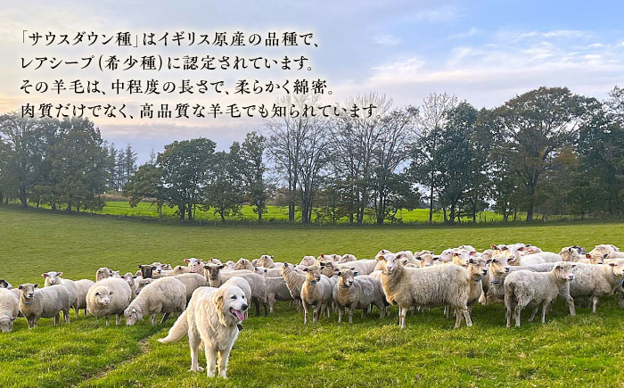 希少 羊毛100％使用 職人手作りの羊毛掛け布団（シングル）《足寄町》【石田めん羊牧場】布団 掛け布団 ふとん 羊 羊毛 羊毛100% 寝具 シングル 手作り あしょろ 北海道 [BEAD008]