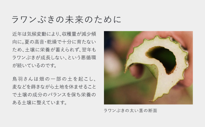 【SHIRO】カレンデュラリペアクリーム《足寄町》 センシティブ 保湿 [BEAX003]