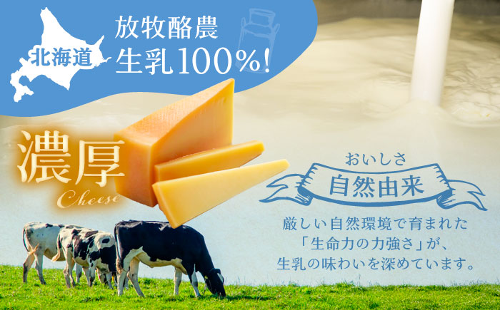 チーズ ラクレット 十勝川温泉 モールウォッシュ　ブロック（約1kg）《足寄町》【合同会社あしょろチーズ工房】北海道産 十勝チーズ ラクレット 温泉水 乳製品 生乳 加工品 1kg 濃厚 冷蔵 十勝 あしょろ [BEAU007]