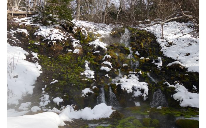 北海道十勝 オーダーメイドツアーチケット（150,000円分）《足寄町》 【Slow Travel HOKKAIDO】 北海道旅行 体験 牧場 狩猟 温泉 焚火 アウトドア クラフト 体験型 旅 旅行 イベント オンネトー 十勝 [BEAY009]