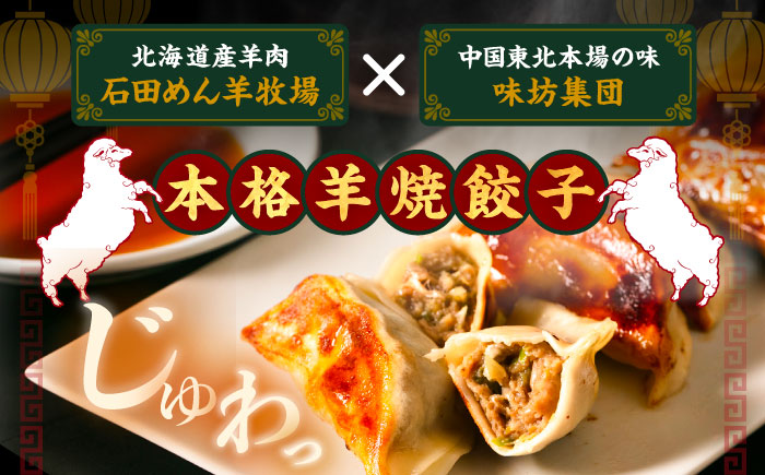 羊の焼き餃子（25個入り×2パック）《足寄町》【石田めん羊牧場】　中華 餃子 ぎょうざ ギョウザ 点心 惣菜 おかず 弁当 羊肉 お肉 手づくり ジューシー 冷凍 簡単調理 名店 味坊 足寄 北海道 北海道産 [BEAD018]