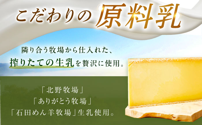＼TVで話題／【全6回定期便】北海道 チーズ 6種《足寄町》【しあわせチーズ工房】定期便 チーズ ナチュラルチーズ ハード ラクレット 生乳 ミルク 乳製品 おつまみ ギフト 食べ比べ 北海道産 あしょろ [BEAK030]