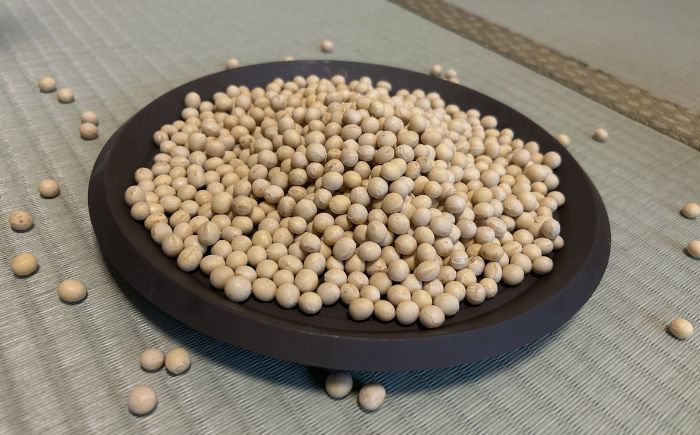北海道 あしょろの大豆 1kg×2袋《足寄町》【党崎農場】 [BEAA026] 大豆 豆 まめ マメ 和食 煮豆 スープ 煮物 健康 足寄町産 北海道産 道産 寒冷地 足寄町 北海道 節分