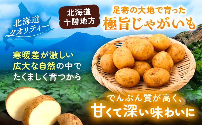 北海道産 じゃがいも＆かぼちゃ 計10kg（じゃがいも6-7kg・かぼちゃ3-4kg）《足寄町》【党崎農場】ジャガイモ じゃがいも 食べ比べ かぼちゃ 野菜 ポテト 芋 イモ いも ハロウィン あしょろ 北海道[BEAA009]