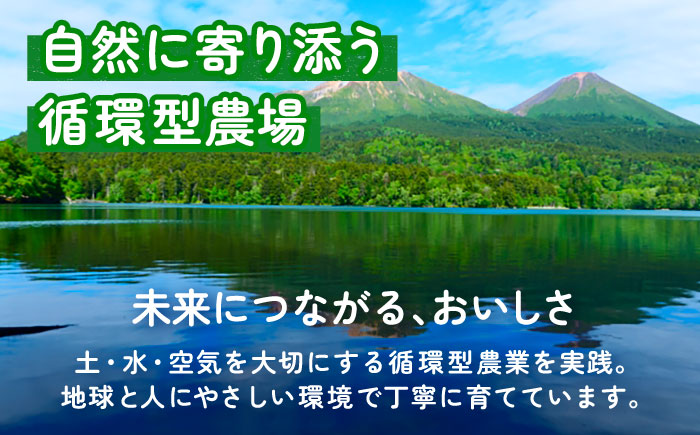 【先行予約】北海道産 じゃがいも 2種食べ比べセット 各5kg（男爵＆キタアカリ）《足寄町》【党崎農場】ジャガイモ じゃがいも 食べ比べ 国産 野菜 ポテト 芋 イモ いも 男爵 キタアカリ きたあかり あしょろ 北海道 [BEAA005]