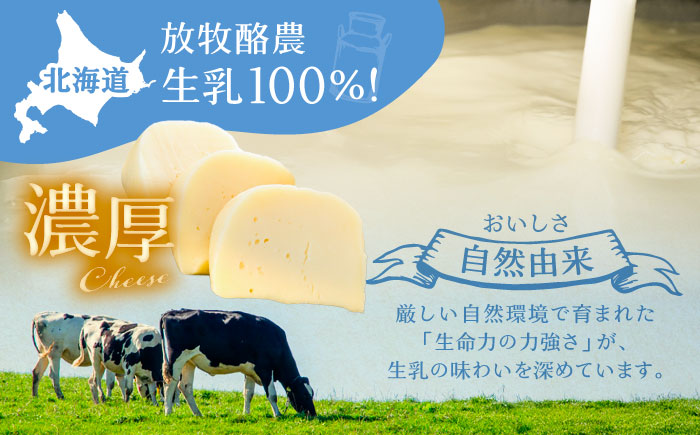 北海道 ゴーダチーズ 300g×2個《足寄町》【合同会社あしょろチーズ工房】 北海道産 十勝チーズ セミハードチーズ ゴーダ 乳製品 生乳 加工品 おつまみ もちもち 冷蔵 十勝 あしょろ [BEAU001]