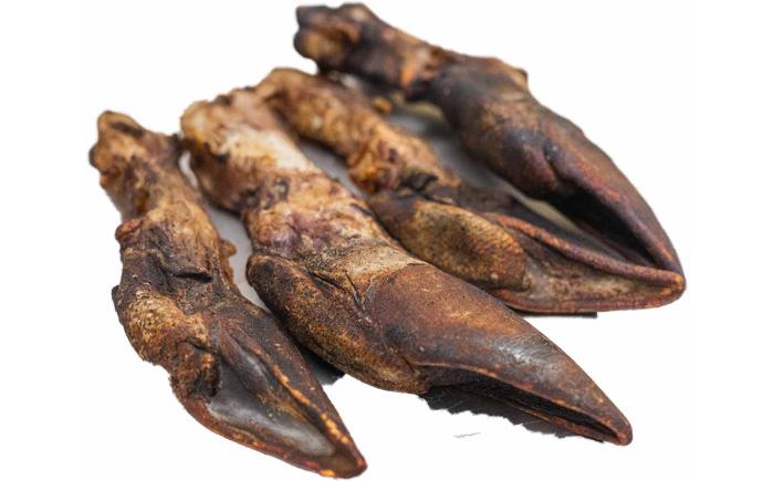 北海道 ペットのおやつ エゾシカ（骨）9種《足寄町》【K&D株式会社】北海道産 エゾ鹿 鹿 シカ肉 鹿肉 ドライ ジャーキー ホネ 骨 口内ケア ペットフード ペット用 餌 エサ ドックフード 犬のおやつ 十勝 あしょろ [BEBC002]