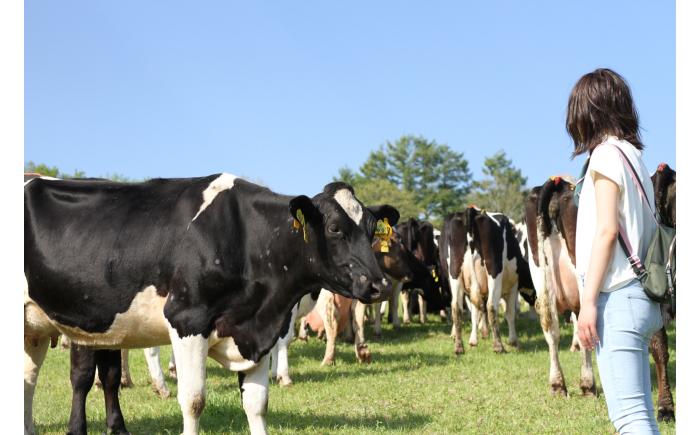 北海道十勝 オーダーメイドツアーチケット（150,000円分）《足寄町》 【Slow Travel HOKKAIDO】 北海道旅行 体験 牧場 狩猟 温泉 焚火 アウトドア クラフト 体験型 旅 旅行 イベント オンネトー 十勝 [BEAY009]