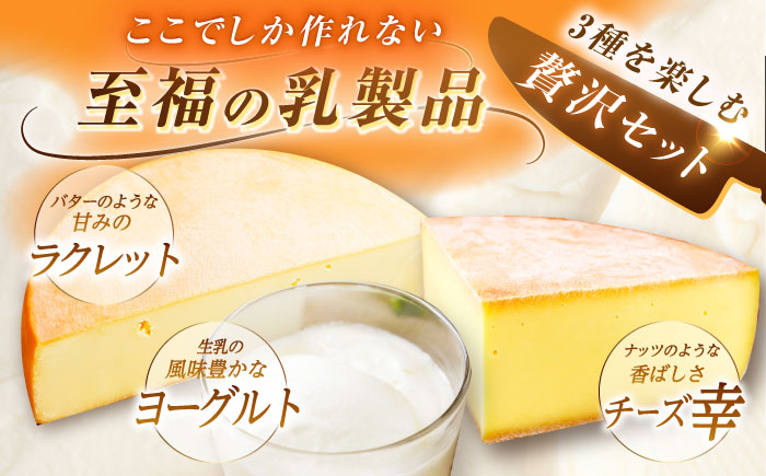 ＼TVで話題／北海道 チーズ＆ヨーグルトセット（チーズ2種・ヨーグルト2個）《足寄町》【しあわせチーズ工房】チーズ ハードチーズ ヨーグルト 乳製品 生乳 おつまみ おすすめ ギフト 足寄町産 北海道産 道産 あしょろ [BEAK003]