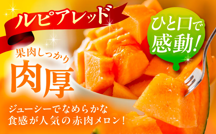 【先行予約】北海道十勝 あしょろ銀河メロン ルピアレッド 1.5kg×2玉（赤肉）【7月下旬以降発送】《足寄町》【郊南ハウス組合】メロン 果物 フルーツ 果肉 赤肉系 旬 1.5kg ギフト おすすめ 足寄町産 北海道産 道産 あしょろ 北海道 [BEAO001]