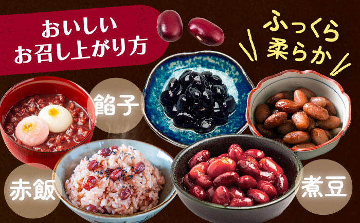北海道 あしょろの豆 5種 計2kg（各400g×各1袋）《足寄町》【党崎農場】小豆 大納言小豆 黒大豆 大正金時 中長鶉 大粒 詰め合わせ 赤飯 おしるこ 煮豆 健康 北海道産 道産 寒冷地 あしょろ [BEAA011]