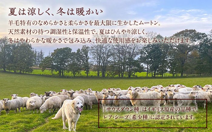ミルクラム ムートン 約60〜80cm《足寄町》【石田めん羊牧場】ムートン 羊 羊毛 天然素材 高級 インテリア マット ベビー用 赤ちゃん ペット用 ペット 介護用 あしょろ 北海道 [BEAD001]