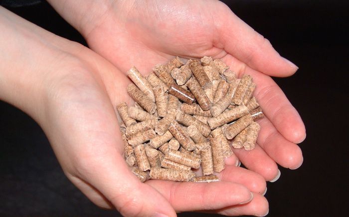 カーボンオフセット CO2（二酸化炭素）吸収量 1t《足寄町》【北海道森林バイオマス吸収量活用推進協議会】CO2 CO2吸収 二酸化炭素 SDGs 温暖化 環境 木片ペレット ゼロカーボン あしょろ 北海道 [BEAS001]