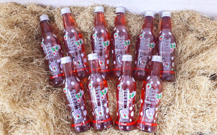 あしょろラズベリースカッシュ 10本《足寄町》【NPO法人あしょろ観光協会】ラズベリー 炭酸飲料 炭酸 炭酸入り 爽やか 230ml オリジナル 地元 足寄町産 北海道産 道産 北海道 [BEAE016]