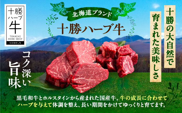 北海道 十勝 ハーブ牛 ヒレステーキ セット 2kg  （ミニステーキ300ｇ+コロコロステ ーキ200ｇ）×4 《足寄町》【株式会社ノベルズ食品】 [BEAQ062]