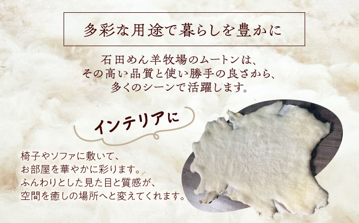 ミルクラム ムートン 約60〜80cm《足寄町》【石田めん羊牧場】ムートン 羊 羊毛 天然素材 高級 インテリア マット ベビー用 赤ちゃん ペット用 ペット 介護用 あしょろ 北海道 [BEAD001]