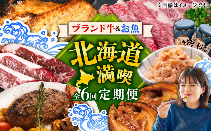 6回定期便 道産ブランド牛＆人気のお魚を満喫！北海道定期便 《足寄町》 [BEBL008]