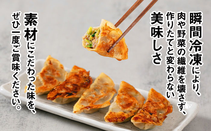 熊笹餃子 雫包(しずづつみ) 20個≪足寄町≫【株式会社北のささ】中華 ぎょうざ ギョーザ 冷凍餃子 焼餃子 おかず おつまみ 惣菜 天心 お取り寄せ 肉汁 国産 ギフト 冷凍食品 クマザサエキス配合 ささ塩配合 あしょろ 北海道 [BEAR014]