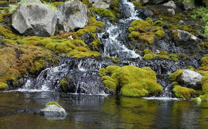 北海道十勝 オンネトー 湯の滝 ネイチャートレッキング バーベキュー ツアー 《足寄町》【株式会社クナウパブリッシング】北海道旅行 旅行 夏休み 体験 アクティビティ ハイキング アウトドア 散歩 自然 植物 BBQ 滝 [BEAY021]