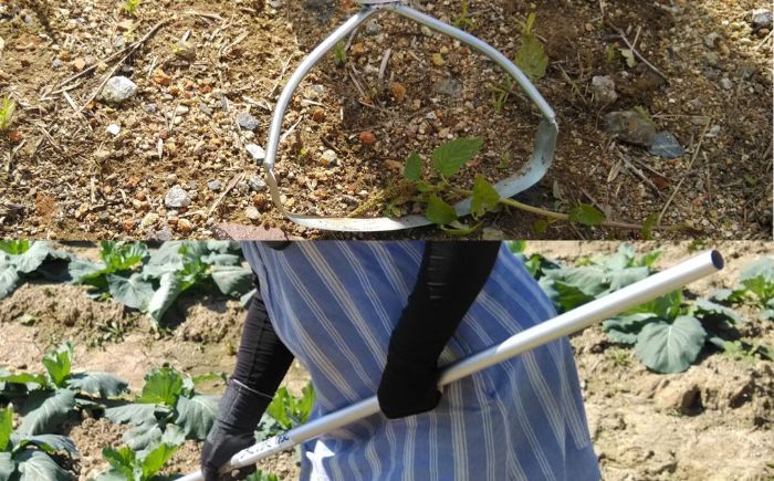 手取り除草機　Qホー（17cm）　《足寄町》【株式会社キュウホー】除草具 農具 草取り 草刈り 農業 農作業 のうさぎょう ガーデニング 庭 園芸 掃除 花 草 雑草 [BEBH001]