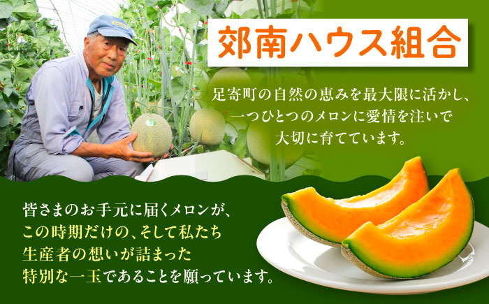 【先行予約】北海道十勝 あしょろ銀河メロン ルピアレッド 1.5kg×2玉（赤肉）【7月下旬以降発送】《足寄町》【郊南ハウス組合】メロン 果物 フルーツ 果肉 赤肉系 旬 1.5kg ギフト おすすめ 足寄町産 北海道産 道産 あしょろ 北海道 [BEAO001]