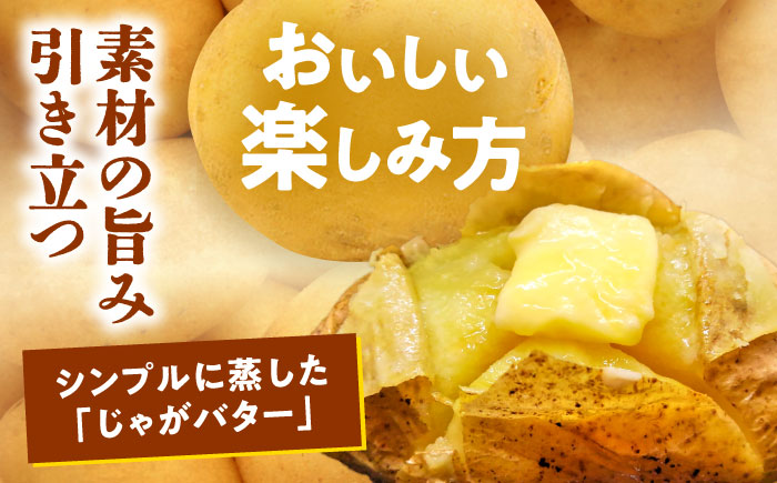 北海道産 じゃがいも ゆめいころ 10kg 《足寄町》【北海道エア・ウォーター・アグリ株式会社】 [BEBO001] ジャガイモ じゃがいも 国産 野菜 ポテト 芋 イモ いも 肉じゃが カレー 煮物 ポテトサラダ シチュー ユメイコロ ゆめこいろ 北海道産 道産 足寄町 北海道