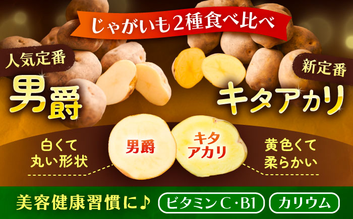 【先行予約】北海道産 じゃがいも 2種食べ比べセット 各5kg（男爵＆キタアカリ）《足寄町》【党崎農場】ジャガイモ じゃがいも 食べ比べ 国産 野菜 ポテト 芋 イモ いも 男爵 キタアカリ きたあかり あしょろ 北海道 [BEAA005]