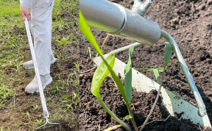 手取り除草機　ホーF21　《足寄町》【株式会社キュウホー】除草具 農具 草取り 草刈り 農業 農作業 のうさぎょう ガーデニング 庭 園芸 掃除 花 草 雑草 [BEBH002]