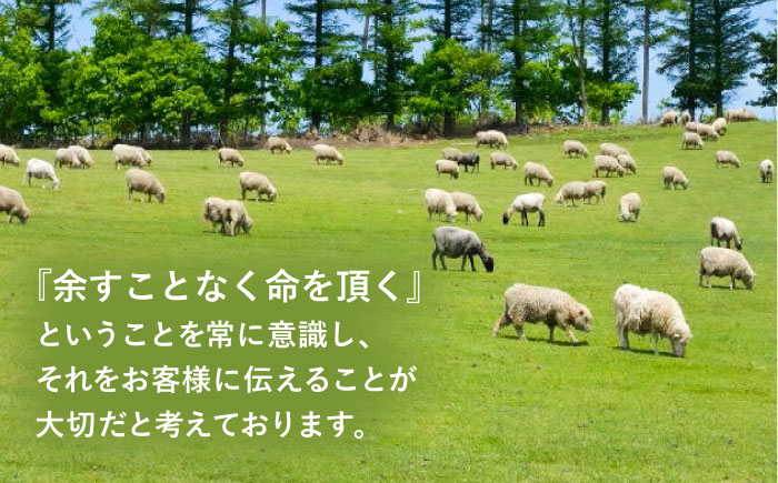 希少 羊毛100％使用 職人手作りの羊毛掛け布団＆羊毛敷き布団（シングル1組）《足寄町》【石田めん羊牧場】布団 掛け布団 敷き布団 敷布団 ふとん 羊 羊毛 羊毛100% 寝具 シングル 手作り あしょろ 北海道 [BEAD010]