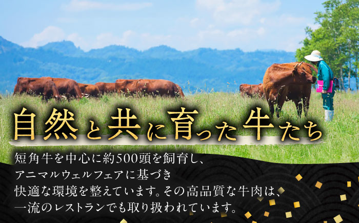 北海道 北十勝 短角牛 リブロース すき焼き用 300g ×5《足寄町》【北十勝ファーム有限会社】 [BEAI013]