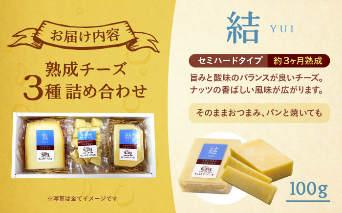 北海道十勝　あしょろチーズ工房3点セット《足寄町》【合同会社あしょろチーズ工房】北海道産 十勝チーズ 食べくらべ 食べ比べ チーズ ハードタイプ セミハード ラクレット モッツァレラ 冷蔵 十勝 あしょろ [BEAU008]