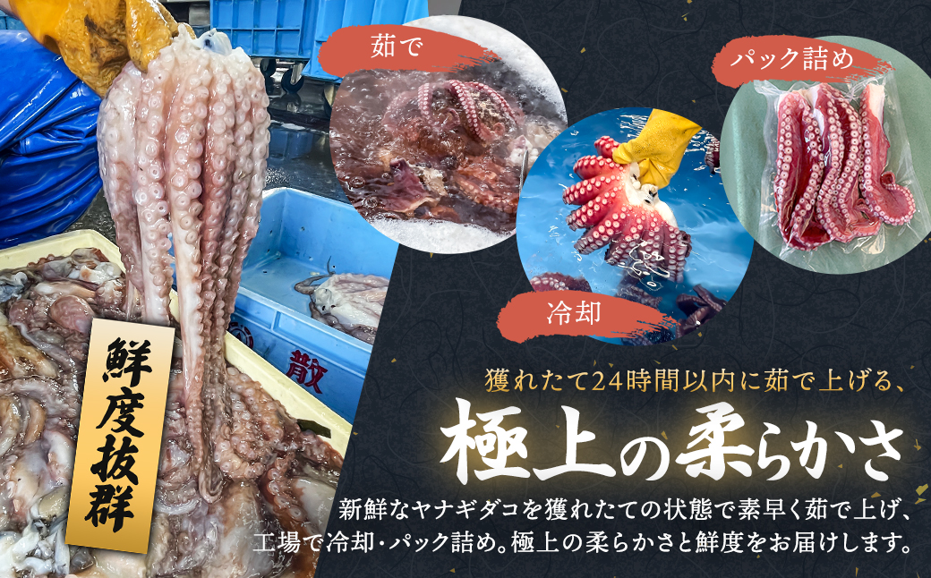 【定期便9ヶ月】ヤナギダコ500g【産地直送】プリプリ食感！釧路町昆布森産 ヤナギダコ｜噛むたびに広がる多幸の旨味 お刺身 鍋 煮物に最適 栄養満点 贈答用 にも最適 漁師直送 鮮度抜群 タコ 蛸 北海道 冷凍 釧路町 釧路超 特産品